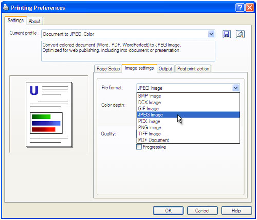 Open the Image settings tab, select file format you required and press OK.