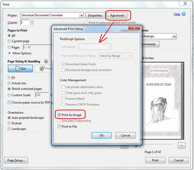 Using print as image feature in Adobe Reader