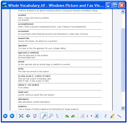 Converted report in Windows Picture and Fax Viewer.